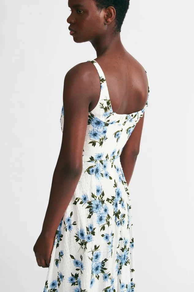Emilia Wickstead Verena Dress In Blue Dahlia Floral Bibione Cotton Women Dresses
