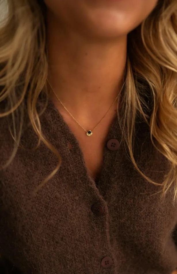 Jewelry and Accessories Necklaces Easy Clothes Golden Reno Necklace