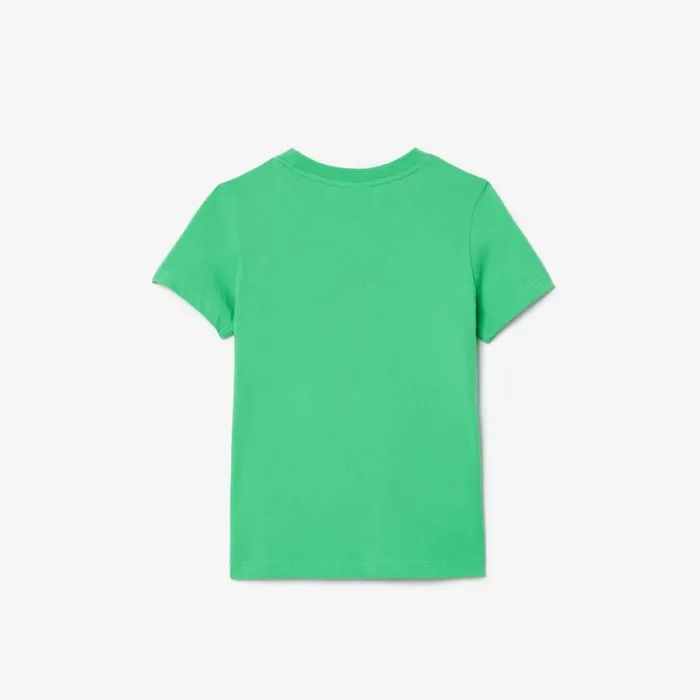 TShirts and Tops Kids Lacoste Kids039 Plain Cotton Jersey TShirt Green Uyx