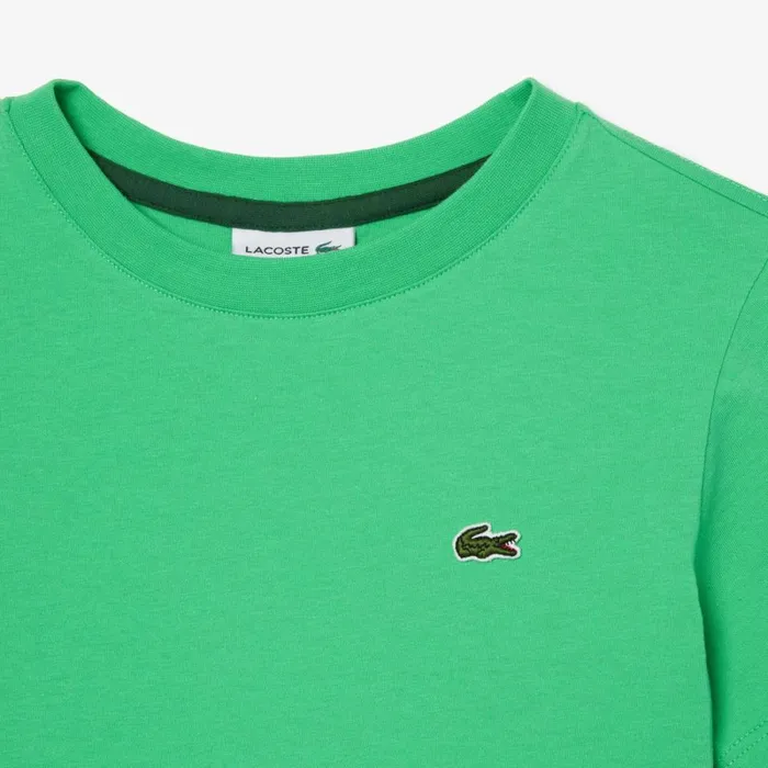 TShirts and Tops Kids Lacoste Kids039 Plain Cotton Jersey TShirt Green Uyx