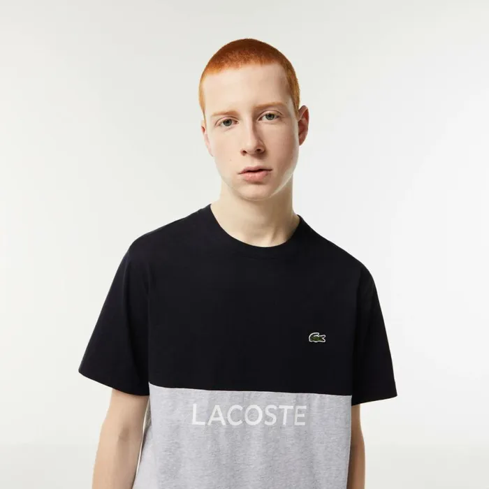 TShirts Men Lacoste Mens Regular Fit Cotton Jersey Colorblock TShirt Navy Blue Grey Chine E6a