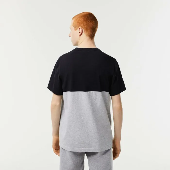 TShirts Men Lacoste Mens Regular Fit Cotton Jersey Colorblock TShirt Navy Blue Grey Chine E6a