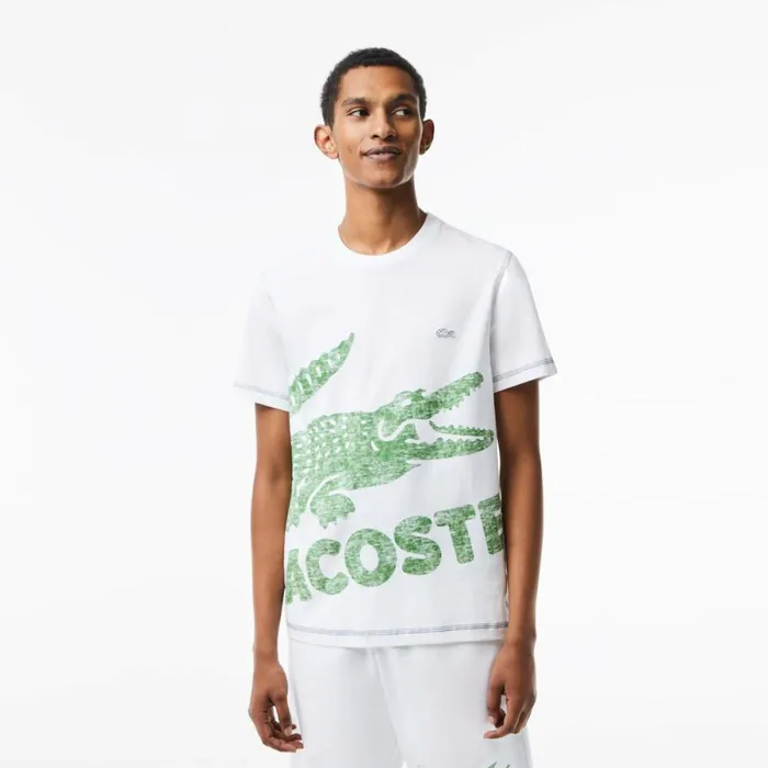 TShirts Men Lacoste Mens Regular Fit Organic Cotton Jersey TShirt White 001