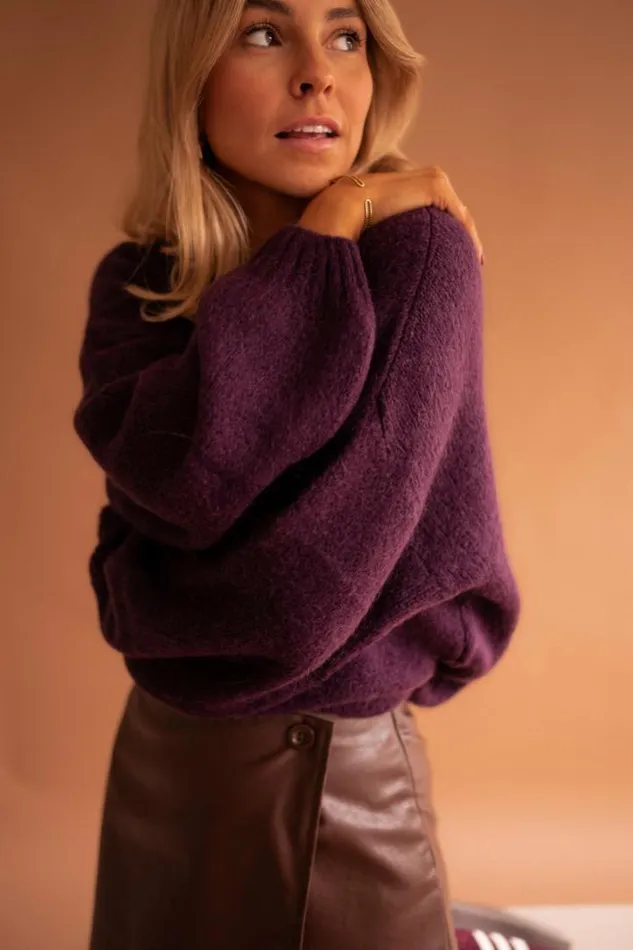 Women039s Clothing Sweaters Easy Clothes Plum Joela Sweater Plum