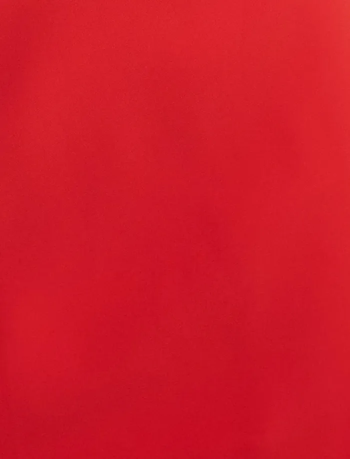 Women Cocktail and Party Dresses BCBG Red Bryony Mini Dress Rosso