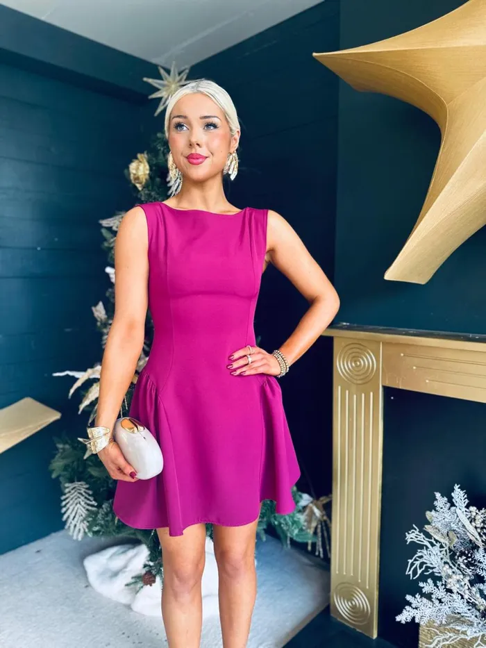 Women Day Dress Canella Lane Andrea Detailed Mini Dress Berry
