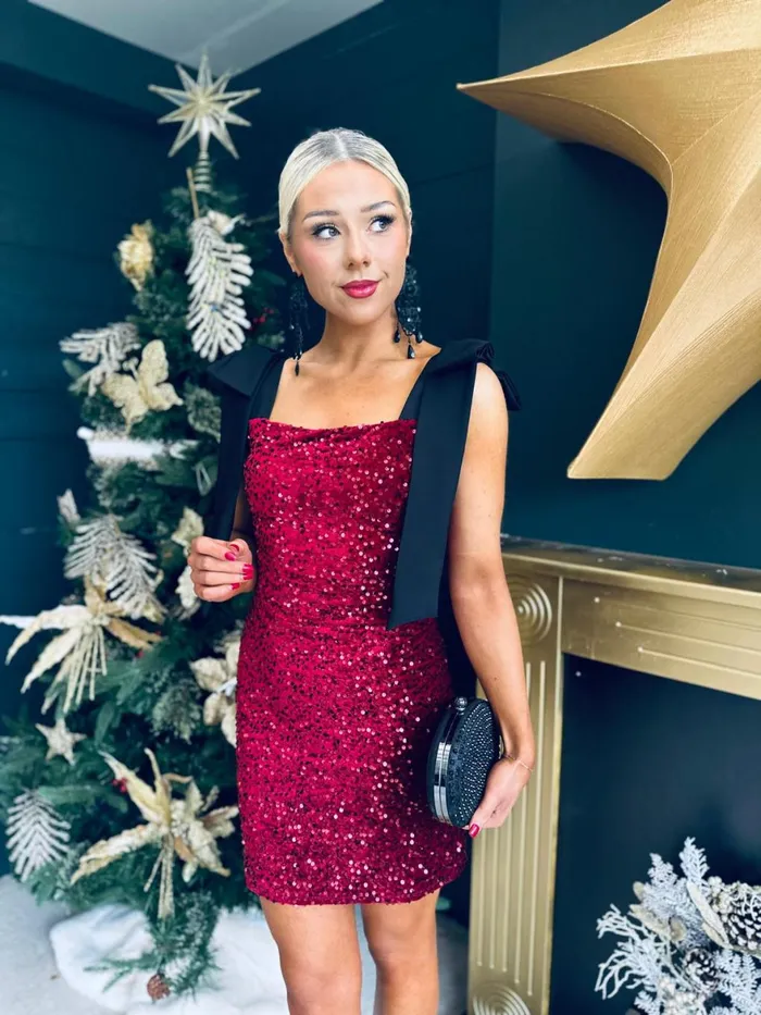 Women Day Dress Canella Lane Jude Bow Detail Sequin Mini Dress Burgundy