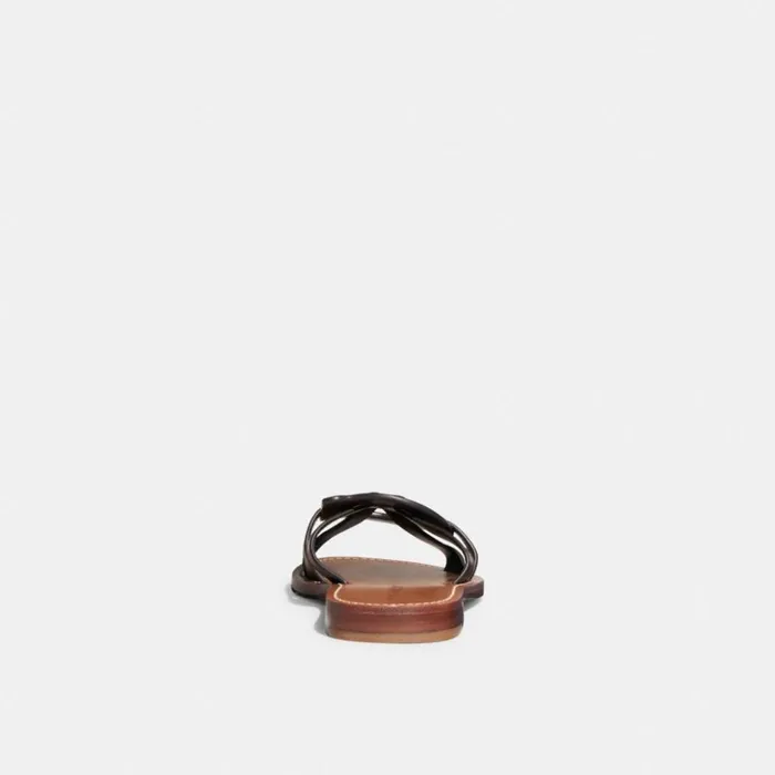 Women Issa Sandal Walnut Brown Coach Sandals