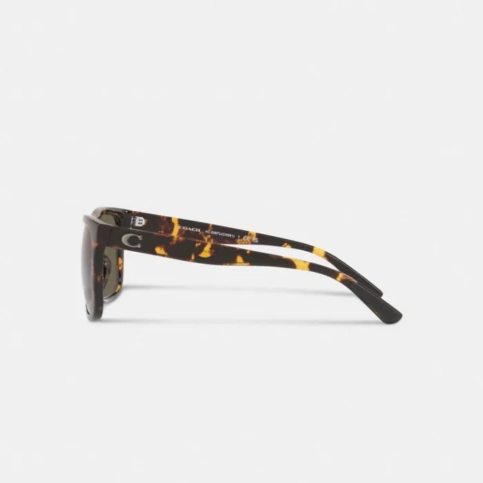 WomenMen Beveled Signature Flat Top Square Sunglasses Dark Tortoise Coach Eyewear