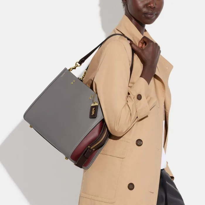 Women Rogue In Colorblock Brassheather Grey Multi Coach Satchels and Top Handles