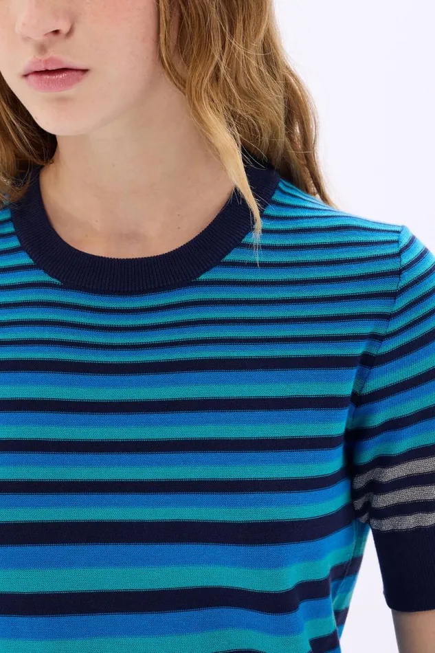Women Shortsleeved Striped Sweater Bluesilver Stripe Multi Sonia Rykiel Sweaters