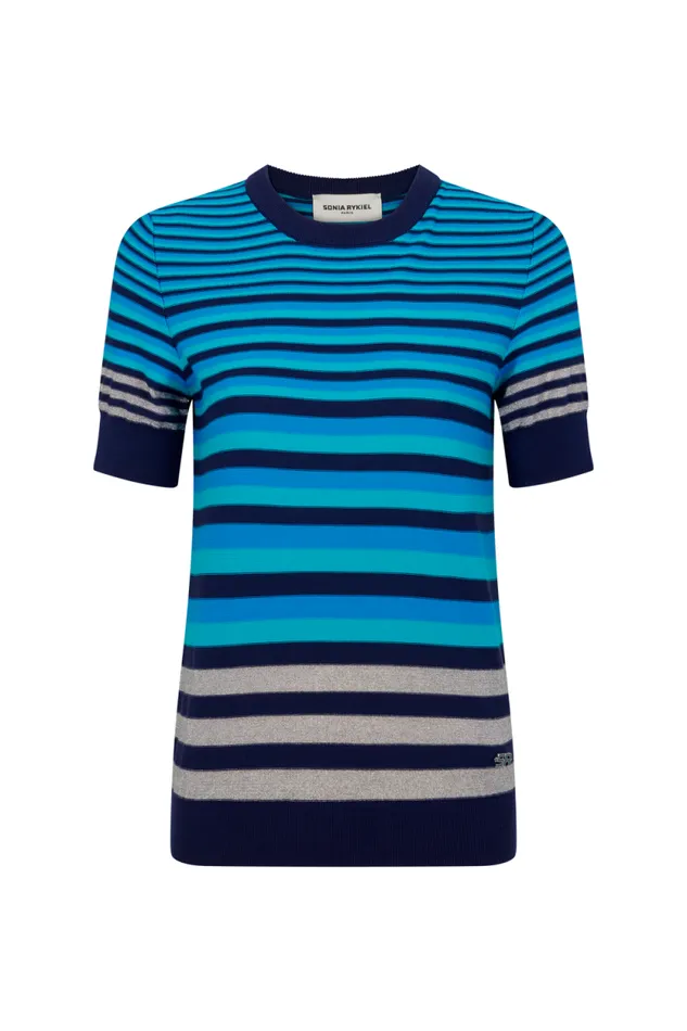 Women Shortsleeved Striped Sweater Bluesilver Stripe Multi Sonia Rykiel Sweaters