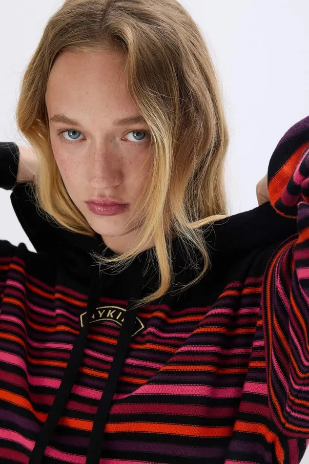 Women Striped Woolen Hoodie Striped Multico Multi Sonia Rykiel Sweaters
