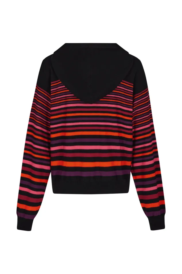 Women Striped Woolen Hoodie Striped Multico Multi Sonia Rykiel Sweaters