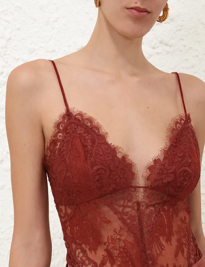 Women Zimmermann Tops Illustration Lace Teddy Chestnut